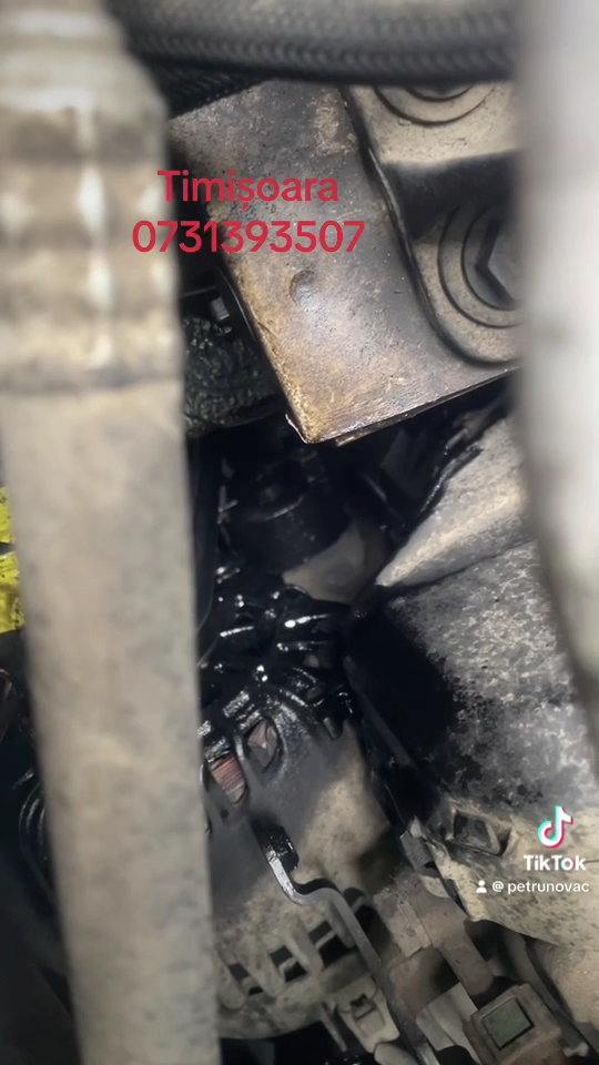 Mecanică auto Timișoara